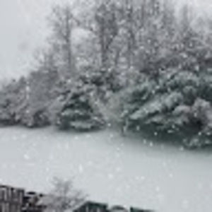 Meet your Posher, Jae